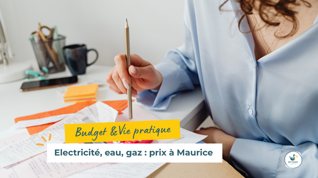 Coût de l’électricité, de l’eau et du gaz à l’Île Maurice pour une famille