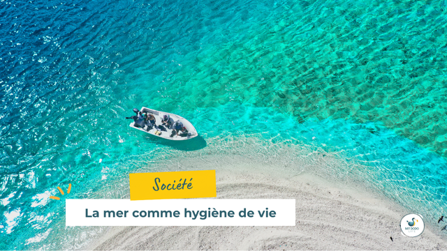 Vue sur la mer à l’Île Maurice : bien-être, sport et équilibre de vie