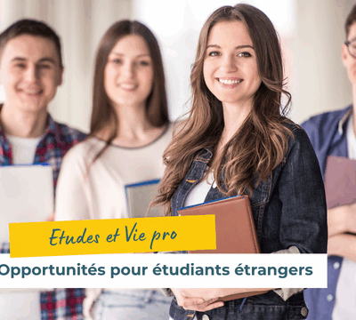Stages et opportunités professionnelles pour étudiants étrangers à Maurice