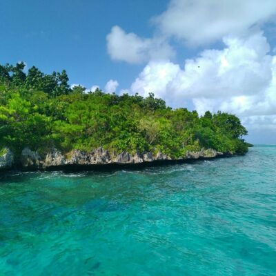 Île aux Aigrettes à Maurice
