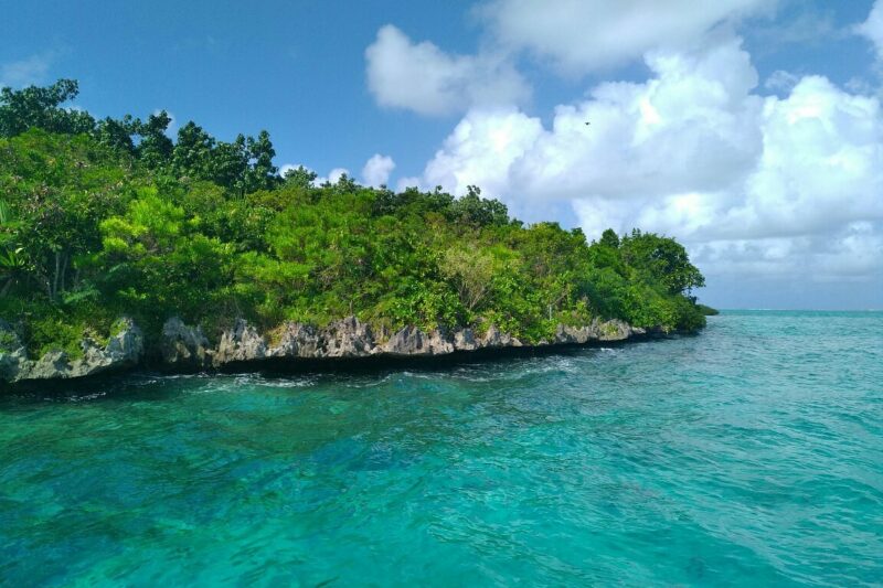 Île aux Aigrettes à Maurice