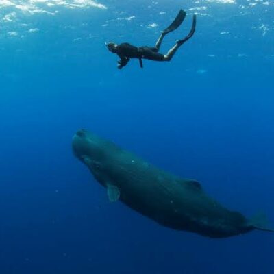 Débutant pratiquant l’apnée dans les eaux turquoise de l’île Maurice