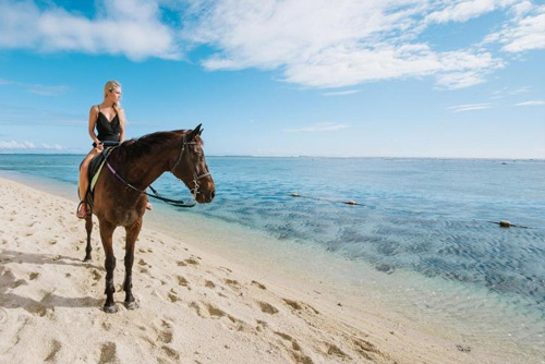 Équitation à l’île Maurice : plages et centres équestres